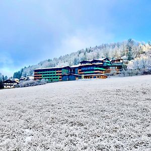 Natura Hotel Bodenmais - Inkl Soft- Und Heissgetraenkeflat